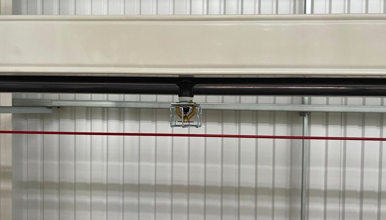 Protector Wire